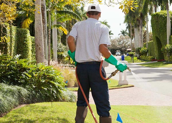 About Rodman NY Pest Control